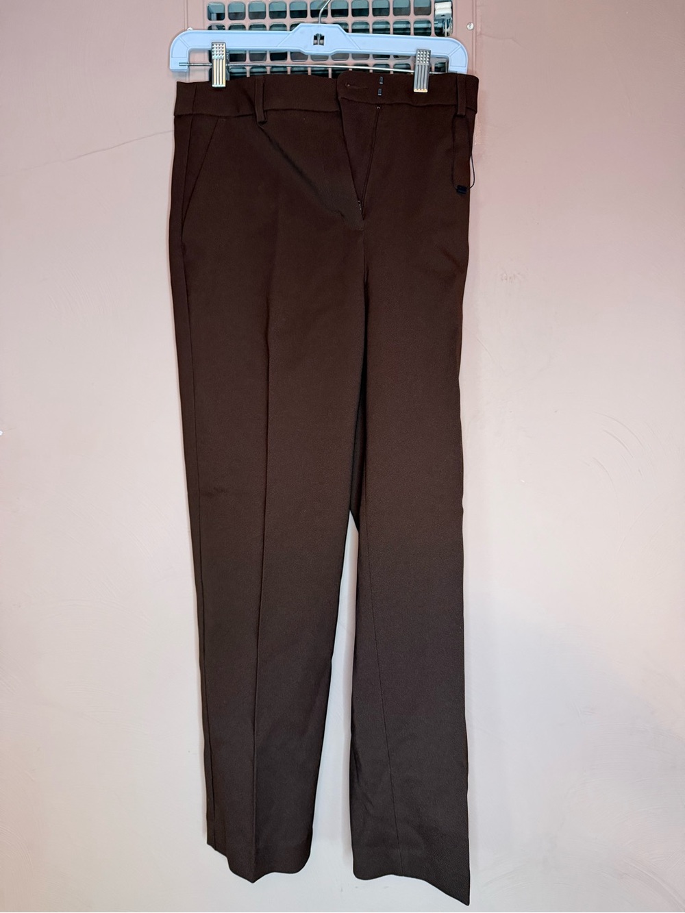 Express Pants